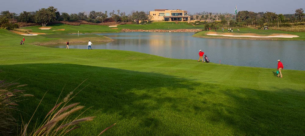 Image gallery block - DLF