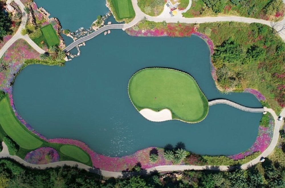 Image gallery block - DLF