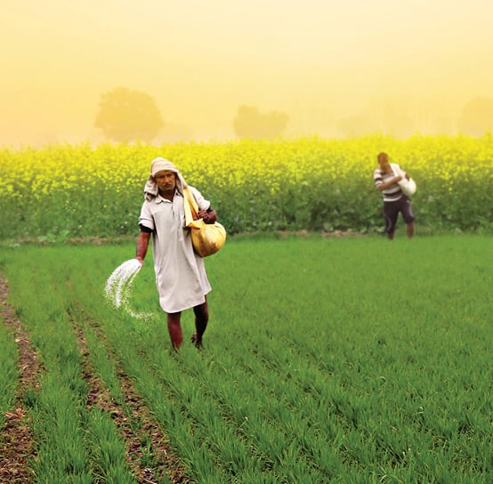 Decoding agriculture in India amid COVID-19 crisis