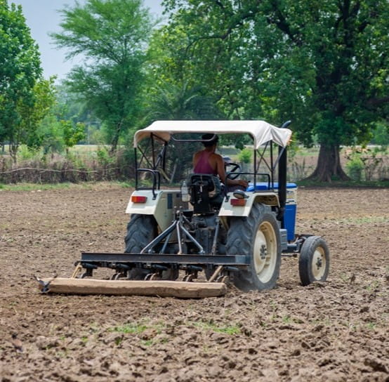 Navigating market volatility and government support for Indian agriculture